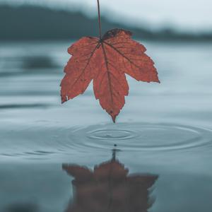 欧美性交小视频
