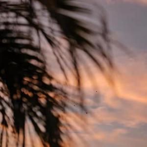 欧美性交小视频
